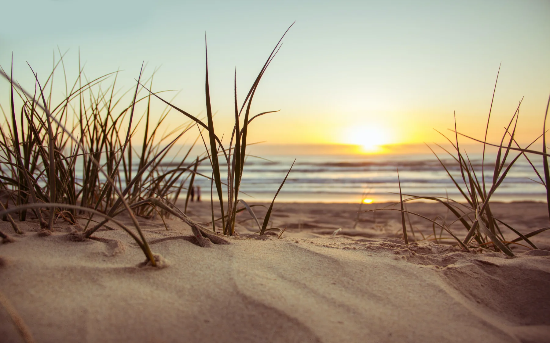 Ocean Ki Wellness holistic wellness setting